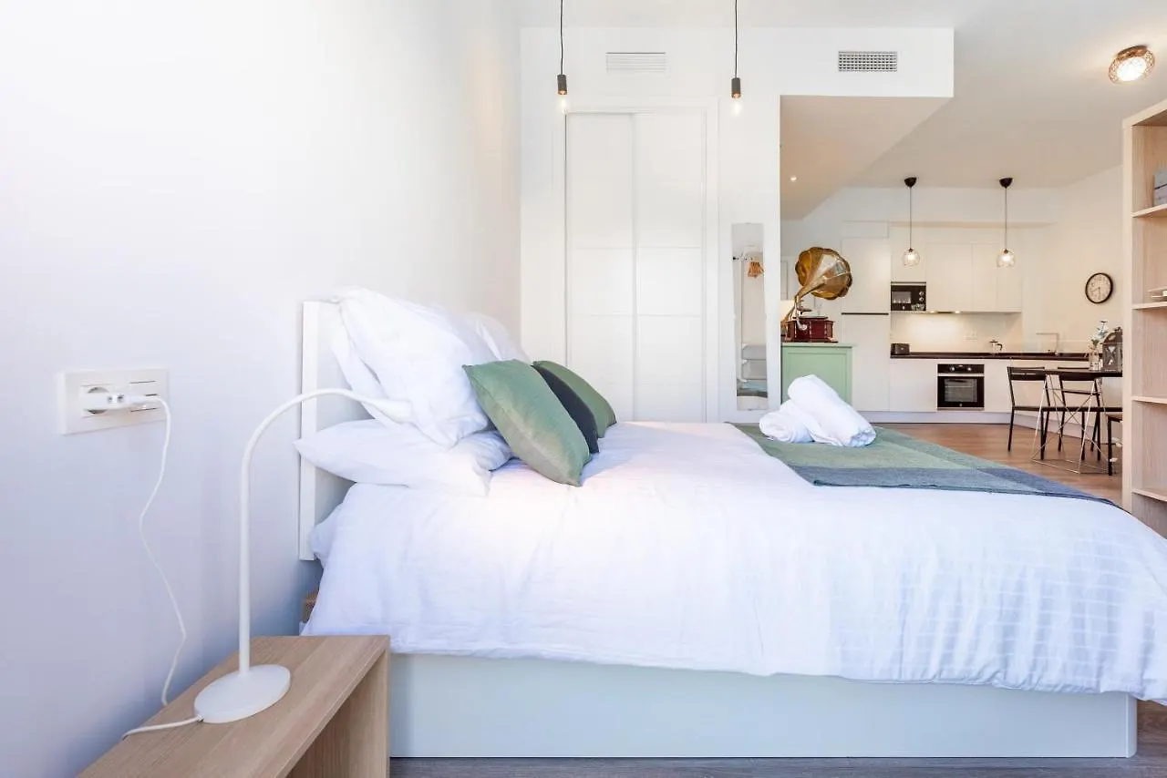 Centrico Estudio Don Rodrigo Malaga Apartment